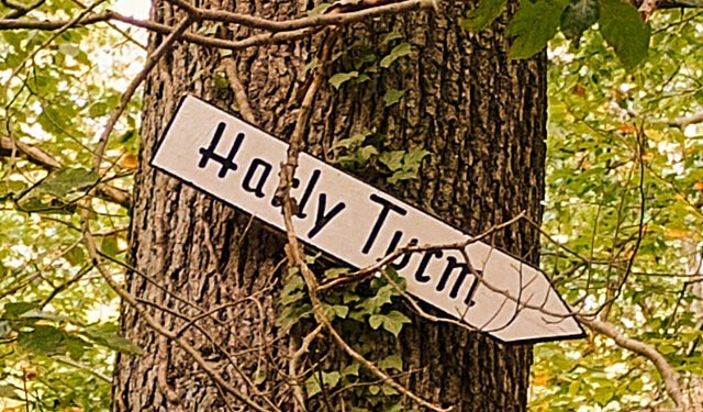 Wegweiser zum Harlyturm