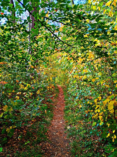 Wanderung auf wunderschönen Pfaden im Harly