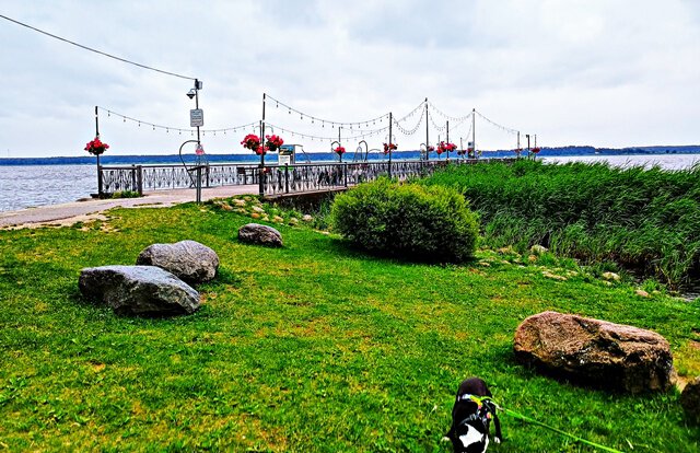 Panoramatour im Mezaparks Riga