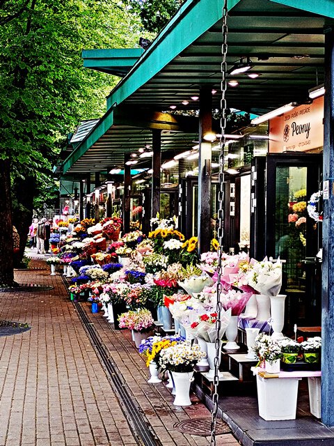 Blumenladen am Mezaparks