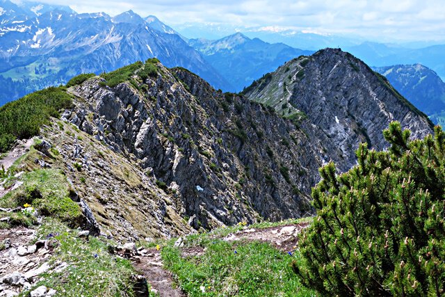 Blick vom Iseler Berg