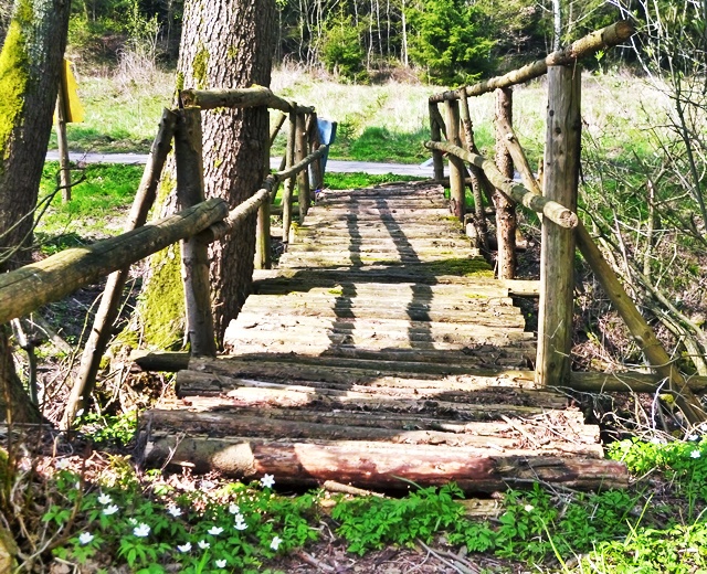 Maliniusteich