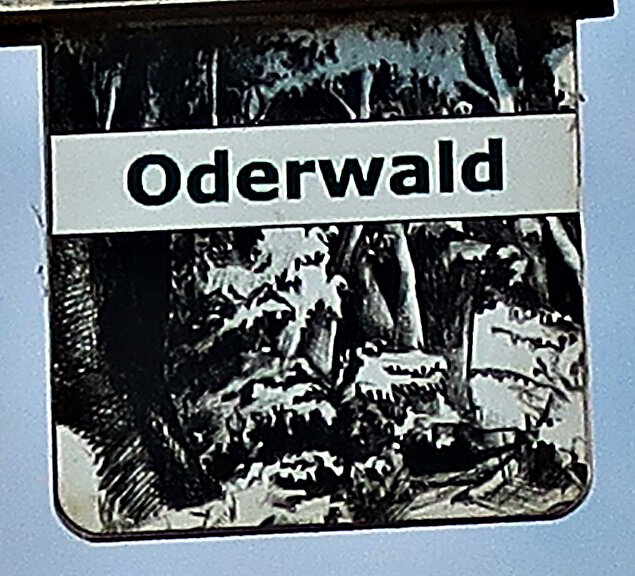 Der Oderwald