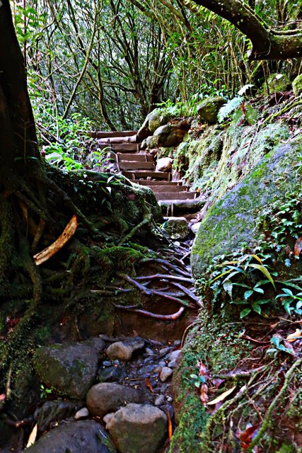 Wanderung zur Cascade Blanche