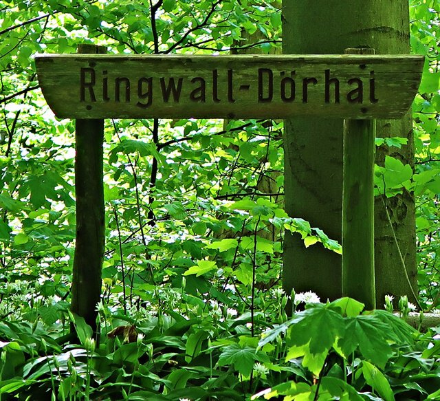 Ringwall-Dörhai Wallanlage