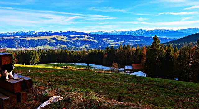 Landschaft bei Scheidegg