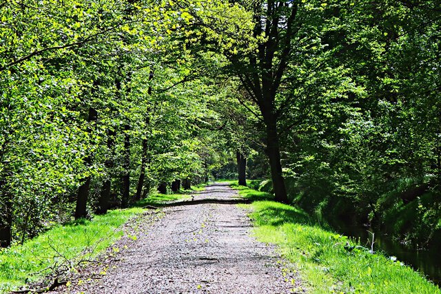 Naturschutzgebiet Barnbruch