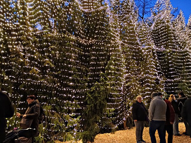 Weihnachtswald Goslar