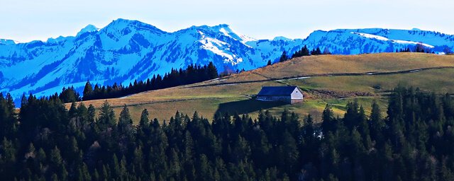 Blick auf eine "typische" Landschaft im Allgäu