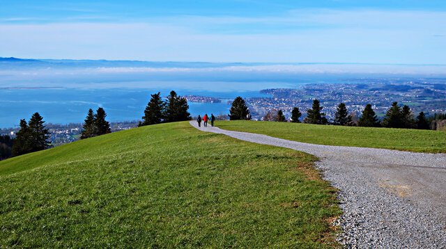 Auf dem Eichberg in Österreich