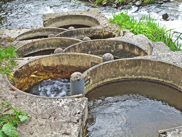 Fischschleuse bei Silberhütte