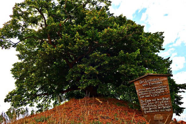 Der Tumulus von Evessen