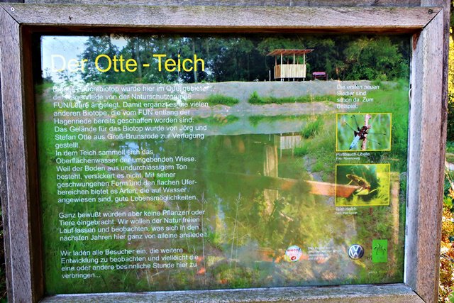 Otte-Teich