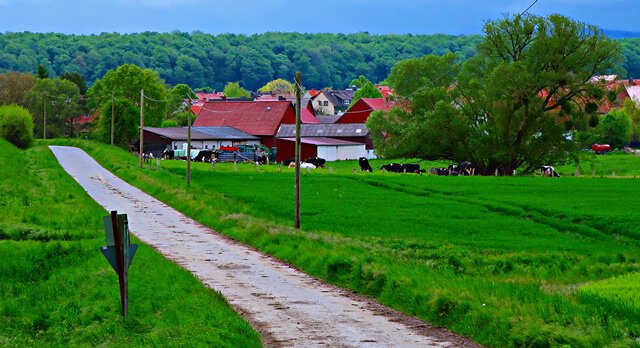 Blick auf Bodenstein