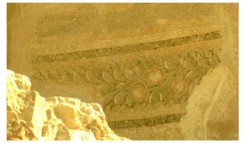 Salamis