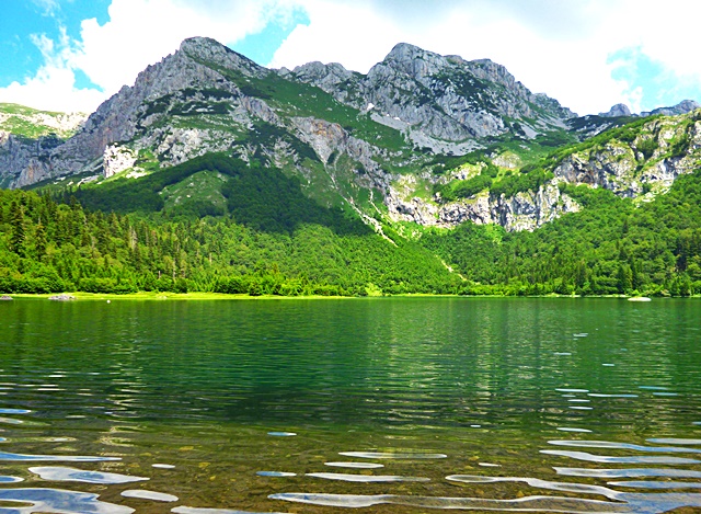 Trnovačko jezero