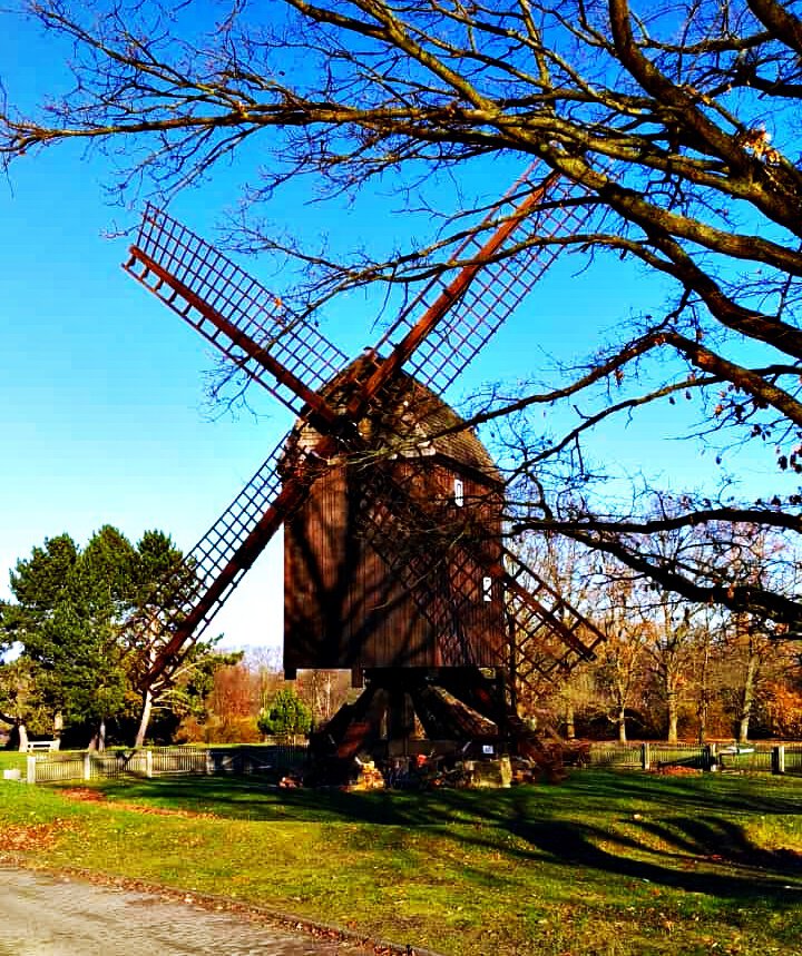 Bockwindmühle Victoria Luise