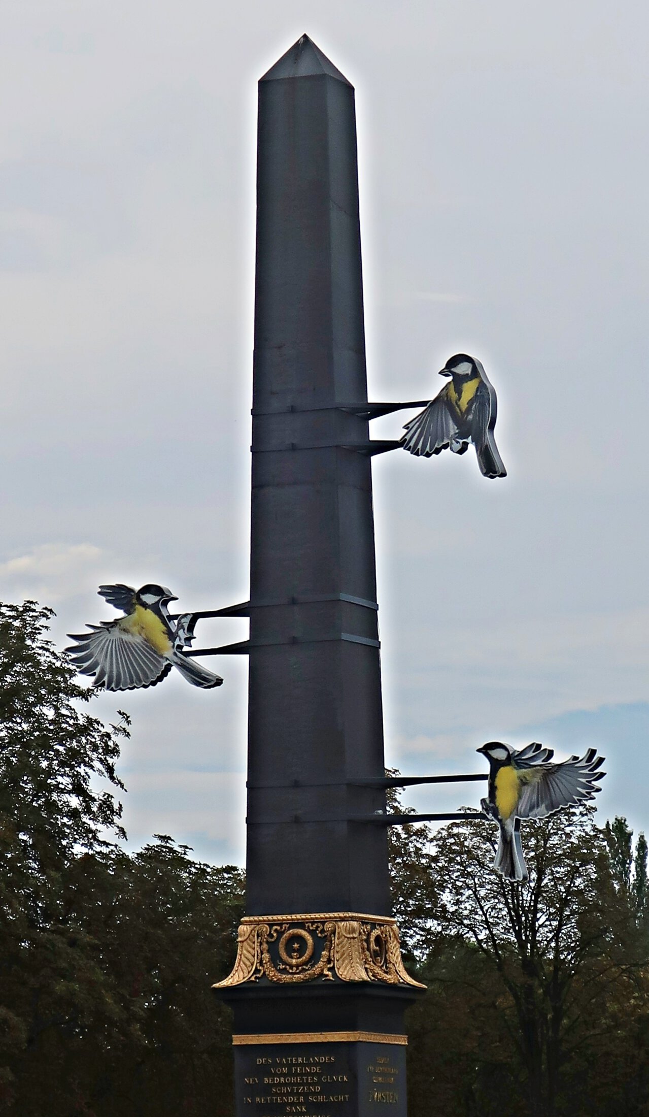 Great Tits Mobbing Phallic Landmark Jens Pecha Löwenwall