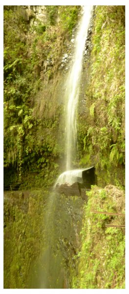 Levada da Ribeira da Janela