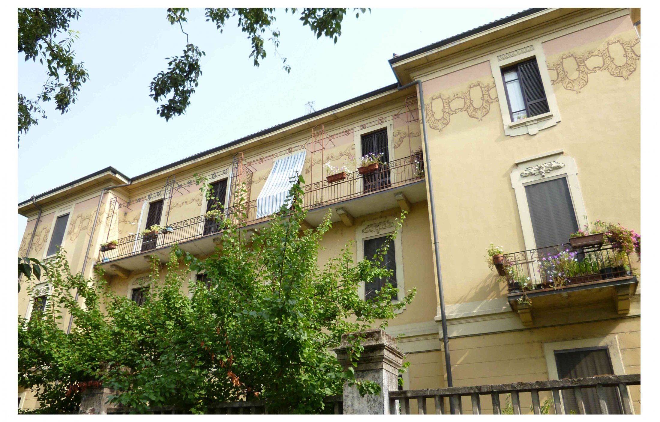 Pavia