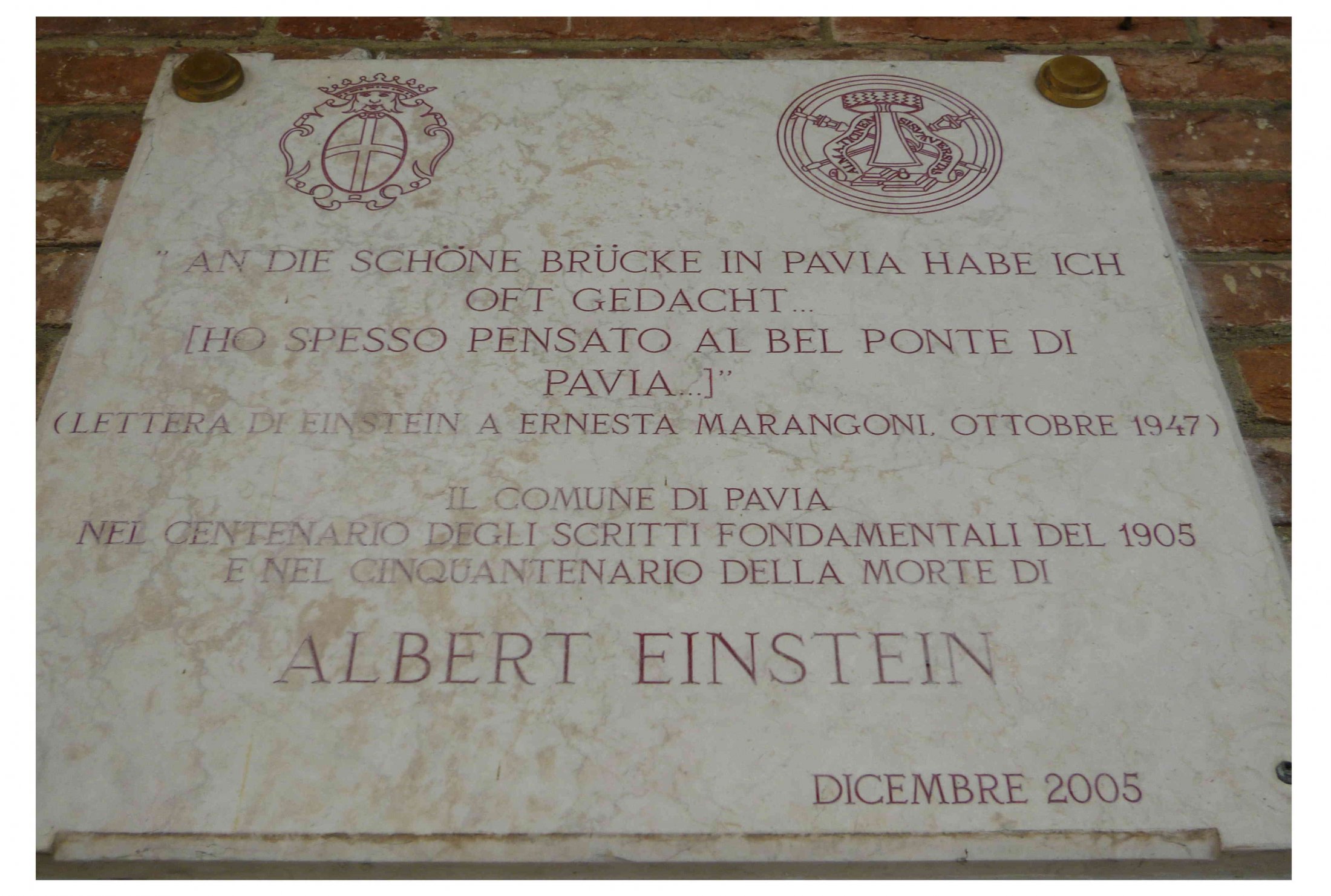 Pavia Albert Einstein