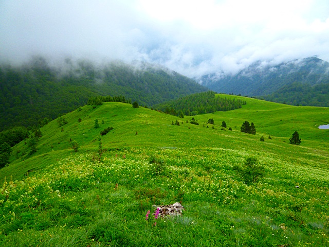 Sutjeska