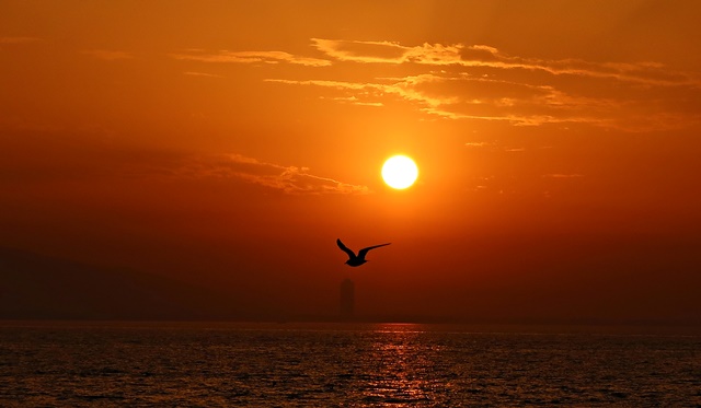Izmir