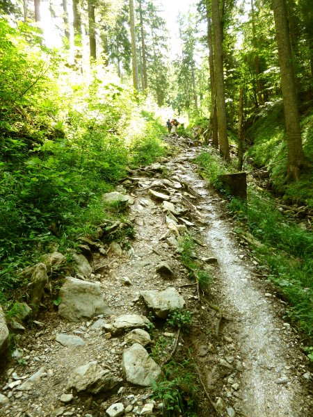 Tour4_Gedererwand