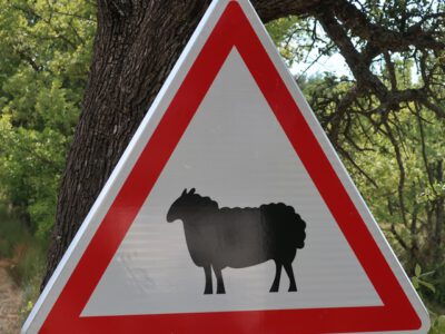 Radfahren in der Haute Provence