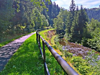 Vom Innerste-Radweg bis tief in den Wald – eine Tour mit ungeplantem Finale