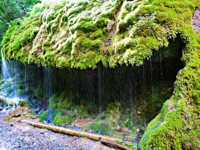 Schluchtensteig: Etappe zwei
