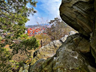 Langenstein: A historical gem on the edge of the Harz Mountains