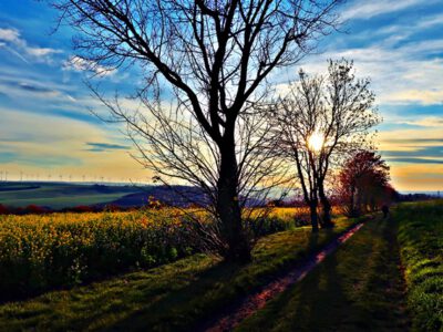 Corona-Tagebuch: der terrassierte Weinberg von Kaatschen