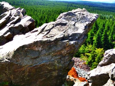 Auf der Glatze Locken drehen