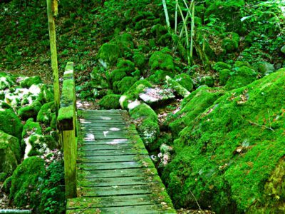 Schluchtensteig: Stage six