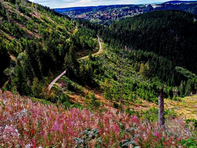 Ein Fest, ein Berg und die vergessenen Heldinnen des Harzes