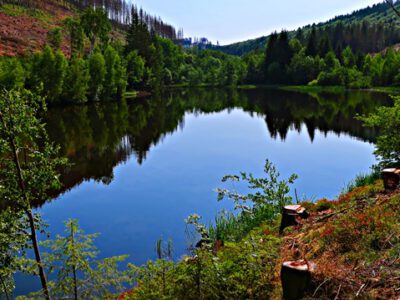 Altenau: Führ mich zum Wasser im Kellwassertal!