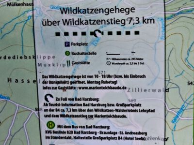 Wildkatzenstieg Bad Harzburg: Zwischen Märchenwald und James-Bond-Endzeitkulisse