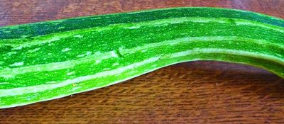 Zucchini statt Blumen